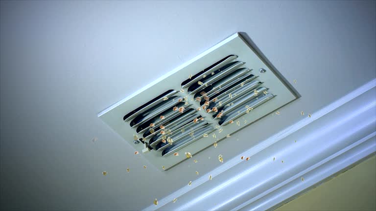 Best Professional Duct Cleaning Services  in Berkley, CO