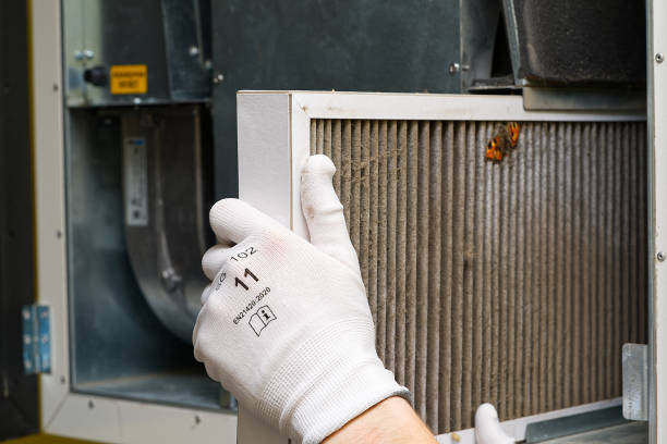 Best Affordable Duct Cleaning Services  in Berkley, CO
