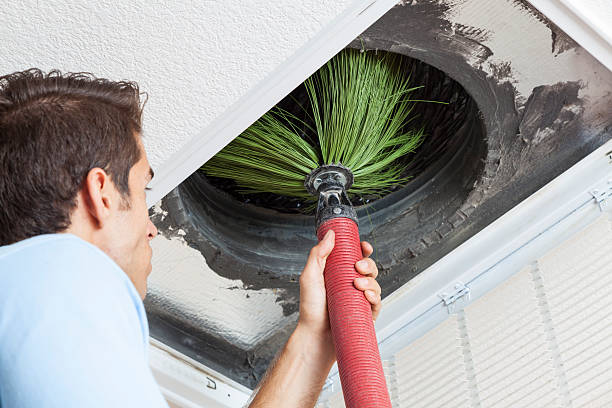Best Air Duct Cleaning Company Near Me  in Berkley, CO